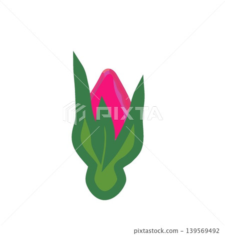 An illustration of a pink rosebud just beginning to bloom. An illustration of a pink rosebud just beginning to bloom. 139569492