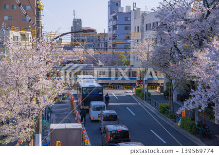 Traffic along the Seibu Shinjuku Line during cherry blossom season [Spring image] 139569774