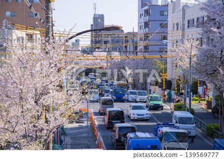 Traffic along the Seibu Shinjuku Line during cherry blossom season [Spring image] 139569777