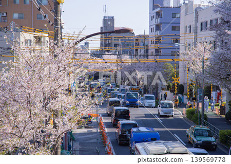 Traffic along the Seibu Shinjuku Line during cherry blossom season [Spring image] 139569778