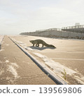 A crocodile moves across a deserted coastal landscape as the sun rises, casting a soft mist over the scene. The abandoned structures hint at a once busy area now lost to time. 139569806