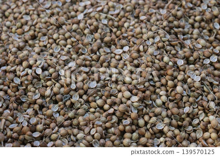 coriander seed on shop for sell coriander seed on shop for sell 139570125