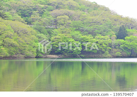 The tranquil shores of Lake Akagi-Onuma amidst the fresh greenery. The tranquil shores of Lake Akagi-Onuma amidst the fresh greenery. 139570407