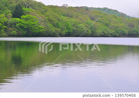 The tranquil shores of Lake Akagi-Onuma amidst the fresh greenery. The tranquil shores of Lake Akagi-Onuma amidst the fresh greenery. 139570408