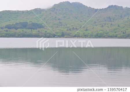 The tranquil shores of Lake Akagi-Onuma amidst the fresh greenery. The tranquil shores of Lake Akagi-Onuma amidst the fresh greenery. 139570417