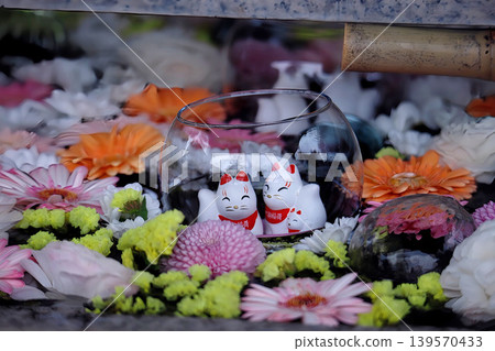 宮城縣岩沼市竹駒神社鮮花盛開的水池中的稻荷神社 宮城縣岩沼市竹駒神社鮮花盛開的水池中的稻荷神社 139570433