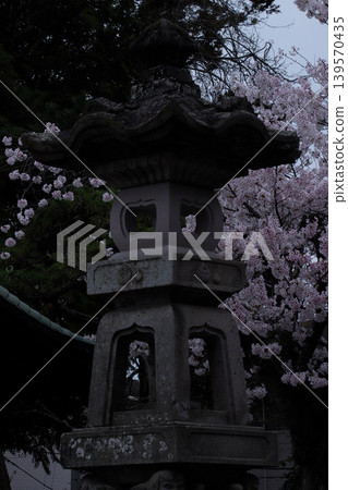 宮城縣岩沼市竹駒神社的稻荷神社與櫻花 宮城縣岩沼市竹駒神社的稻荷神社與櫻花 139570435