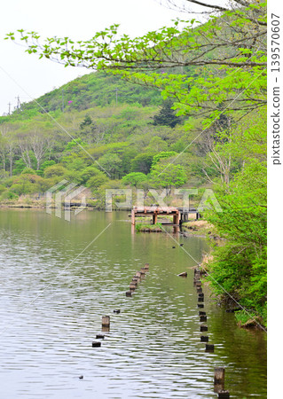 View of Kakumanbuchi in the fresh greenery from the walking path, Akagi View of Kakumanbuchi in the fresh greenery from the walking path, Akagi 139570607