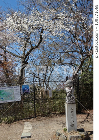 View from the summit of Mount Takao 139571069