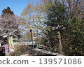 從高尾山頂峰眺望的景色 從高尾山頂峰眺望的景色 139571086