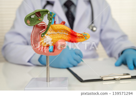 Pancreatitis, pancreatic cancer, Asian doctor with pancreas, gallbladder and bile duct human anatomy model at hospital. 139571294