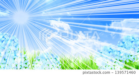 湛藍的天空，夏天的陽光，背景是盛開的繡球花。 139571460