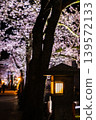 夜間櫻花、櫻花、涼亭、夜景、賞櫻、春天、日本 139572133