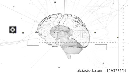 Showing translucent 3D brain rotating on white field, showing network nodes and dashed guideline Showing translucent 3D brain rotating on white field, showing network nodes and dashed guideline 139572554