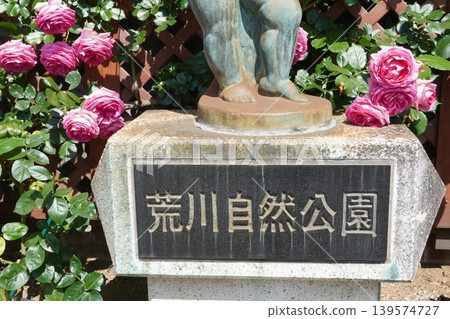 A stone plaque in Arakawa Nature Park adorned with pink roses and a scene of early summer. A stone plaque in Arakawa Nature Park adorned with pink roses and a scene of early summer. 139574727