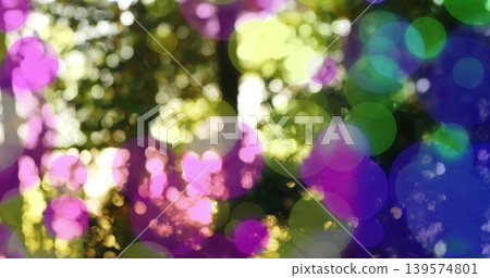 Glowing translucent bokeh circles dancing over sunlit woods, revealing blurred trunks and leaves Glowing translucent bokeh circles dancing over sunlit woods, revealing blurred trunks and leaves 139574801