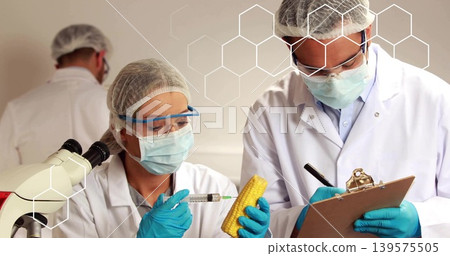 Holding female technician preparing syringe injection into corn at lab, wearing coats, blue gloves Holding female technician preparing syringe injection into corn at lab, wearing coats, blue gloves 139575505