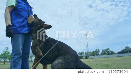 Biting large dark dog leaping, clamping bite sleeve on grassy field with blue vest Biting large dark dog leaping, clamping bite sleeve on grassy field with blue vest 139575694
