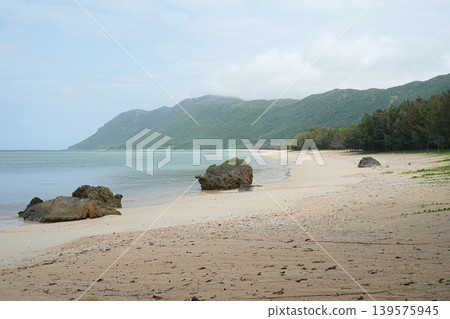 沖繩縣西表島南風見海灘 沖繩縣西表島南風見海灘 139575945
