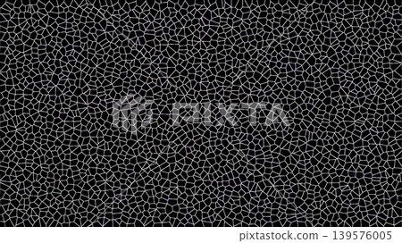 Abstract black mosaic pattern with white geometric lines and cracked texture background 139576005