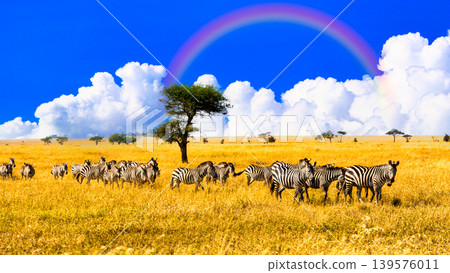 Animals of Serengeti National Park, Tanzania Animals of Serengeti National Park, Tanzania 139576011