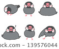 Java sparrows in various poses 139576044