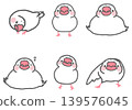 Various poses of sesame salt Java sparrows 139576045