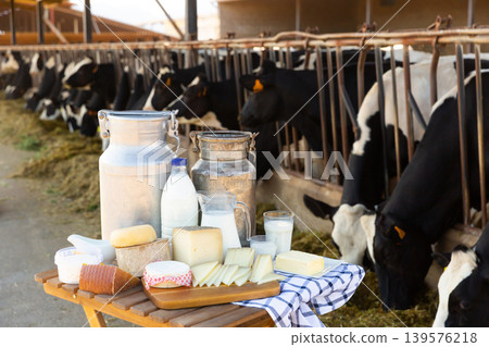 Various dairy products on table against background of cows in barn Various dairy products on table against background of cows in barn 139576218