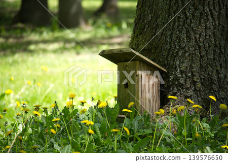 Rustic Birdhouse Against Oak Tree Trunk Surrounded by Dandelions in Sunny Meadow Rustic Birdhouse Against Oak Tree Trunk Surrounded by Dandelions in Sunny Meadow 139576650