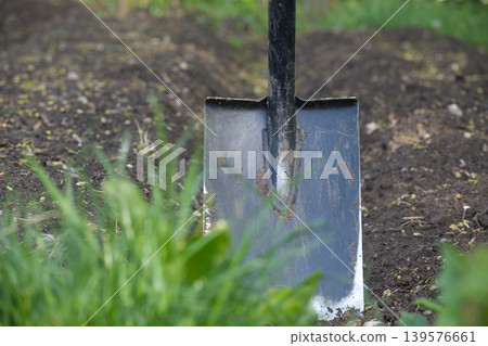 Garden Shovel Stuck in Dark Soil With Freshly Dug Rows and Green Grass Foreground 139576661