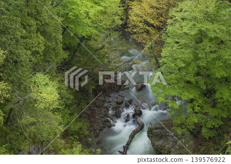 Hiryuotoshi Waterfall shines in the fresh greenery Hiryuotoshi Waterfall shines in the fresh greenery 139576922