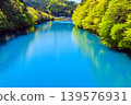 Blue lake and fresh green forest 139576931