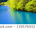 Fresh greenery and the blue surface of the lake 139576932