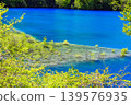 Fresh green and blue lake 139576935
