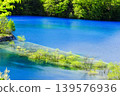 Blue Pond and Submerged Forest 139576936