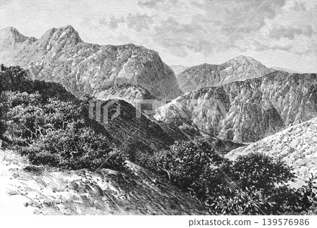 19th-century illustration of the Republic of Madagascar 19th-century illustration of the Republic of Madagascar 139576986