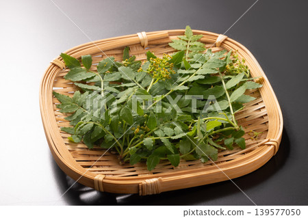 [Akita Prefecture] Japanese pepper leaves and buds 139577050