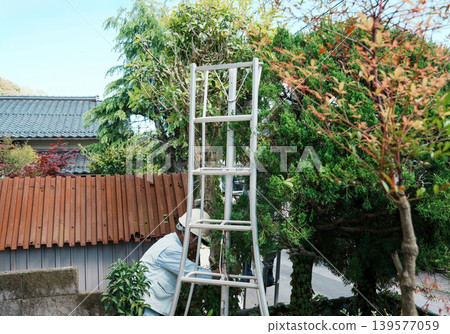 Pruning work of garden tree Pruning work of garden tree 139577059