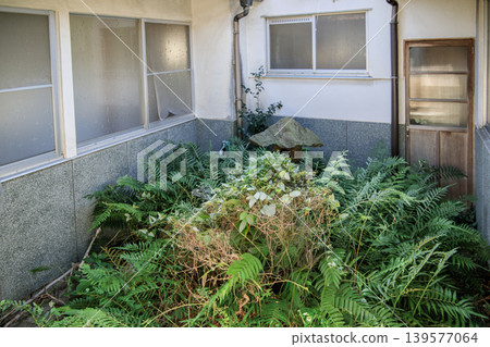 A Japanese house from the Showa era, with a neglected courtyard overgrown with weeds and plants. A Japanese house from the Showa era, with a neglected courtyard overgrown with weeds and plants. 139577064