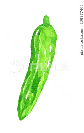 Shishito pepper (single item) - Hand-drawn watercolor illustration of a vegetable Shishito pepper (single item) - Hand-drawn watercolor illustration of a vegetable 139577462