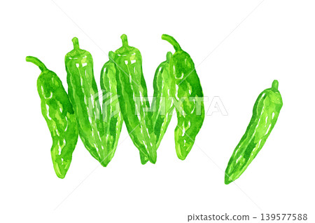 Shishito pepper (Shishito bell pepper) set - Hand-drawn watercolor illustration of vegetables Shishito pepper (Shishito bell pepper) set - Hand-drawn watercolor illustration of vegetables 139577588