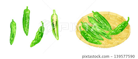 Shishito pepper (Shishito bell pepper) set - Hand-drawn watercolor illustration of vegetables Shishito pepper (Shishito bell pepper) set - Hand-drawn watercolor illustration of vegetables 139577590