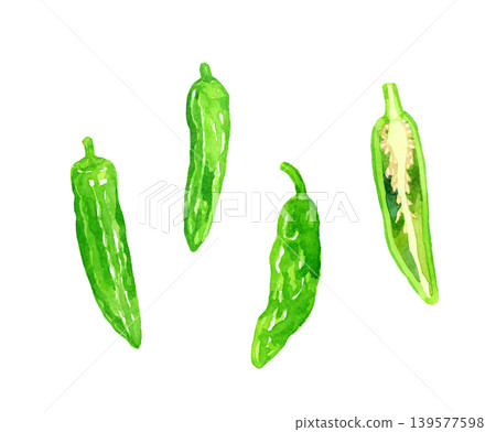 Shishito pepper (Shishito bell pepper) set - Hand-drawn watercolor illustration of vegetables 139577598