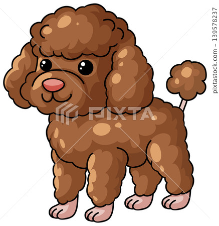 Cute Brown Poodle Puppy Standing Vector Illustration on White Background Cute Brown Poodle Puppy Standing Vector Illustration on White Background 139578237