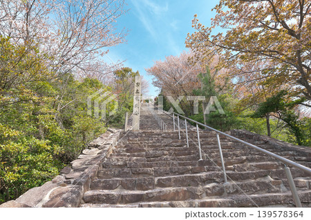 [Approach to Takaya Shrine Main Sanctuary] Takaya-cho, Kanonji City, Kagawa Prefecture 139578364