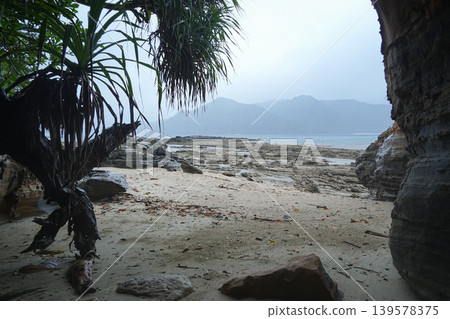 Okinawa Prefecture, Iriomote Island, Amitori Bay 139578375