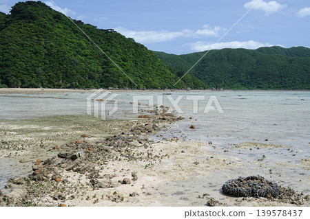 Okinawa Prefecture, Iriomote Island, Sakiyama Bay Okinawa Prefecture, Iriomote Island, Sakiyama Bay 139578437
