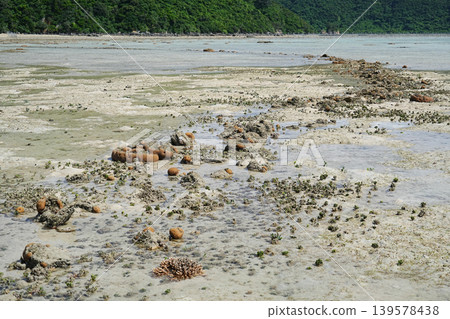 沖繩縣西表島崎山灣 沖繩縣西表島崎山灣 139578438