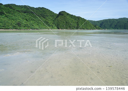 Okinawa Prefecture, Iriomote Island, Sakiyama Bay Okinawa Prefecture, Iriomote Island, Sakiyama Bay 139578446