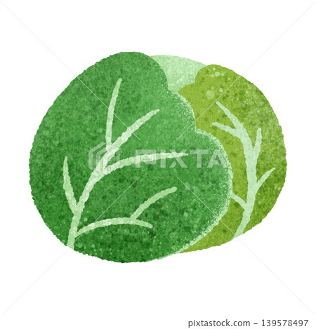 可愛的手繪捲心菜插圖素材 可愛的手繪捲心菜插圖素材 139578497